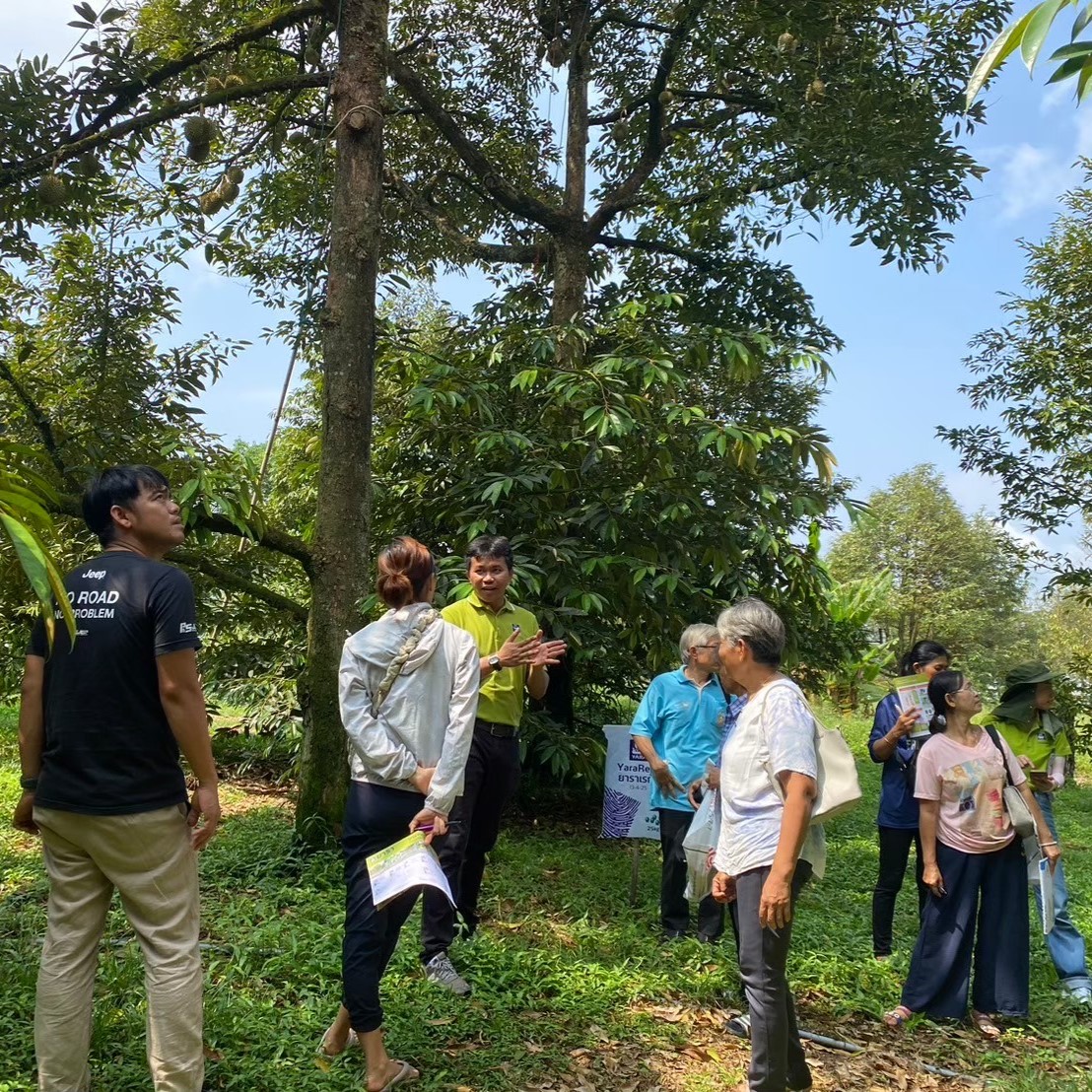 durian field day