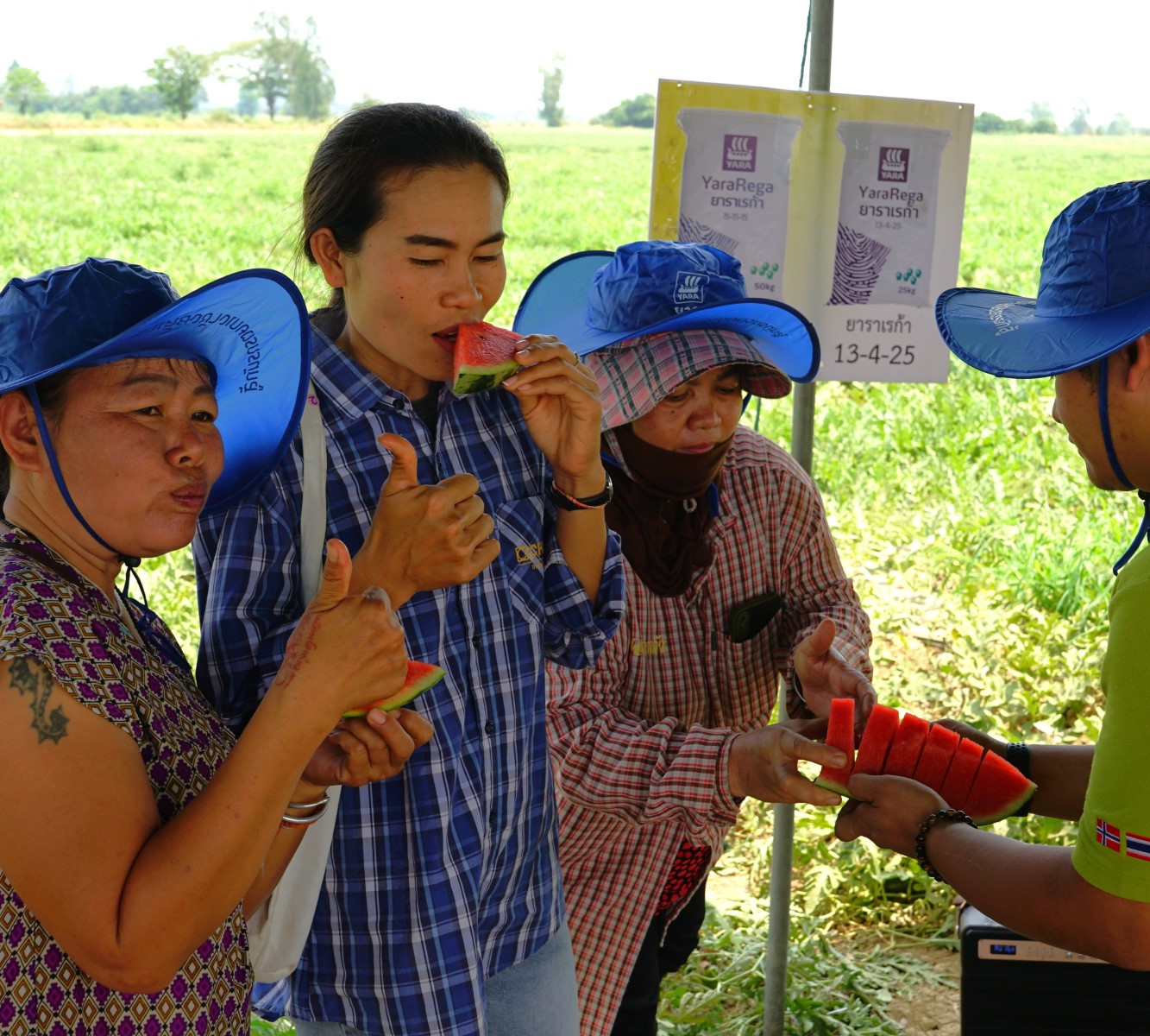 water melon field day