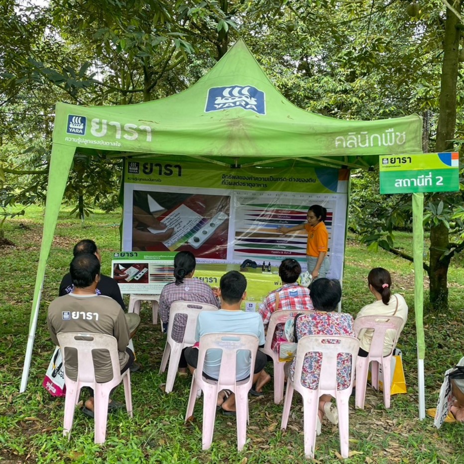 durian field day