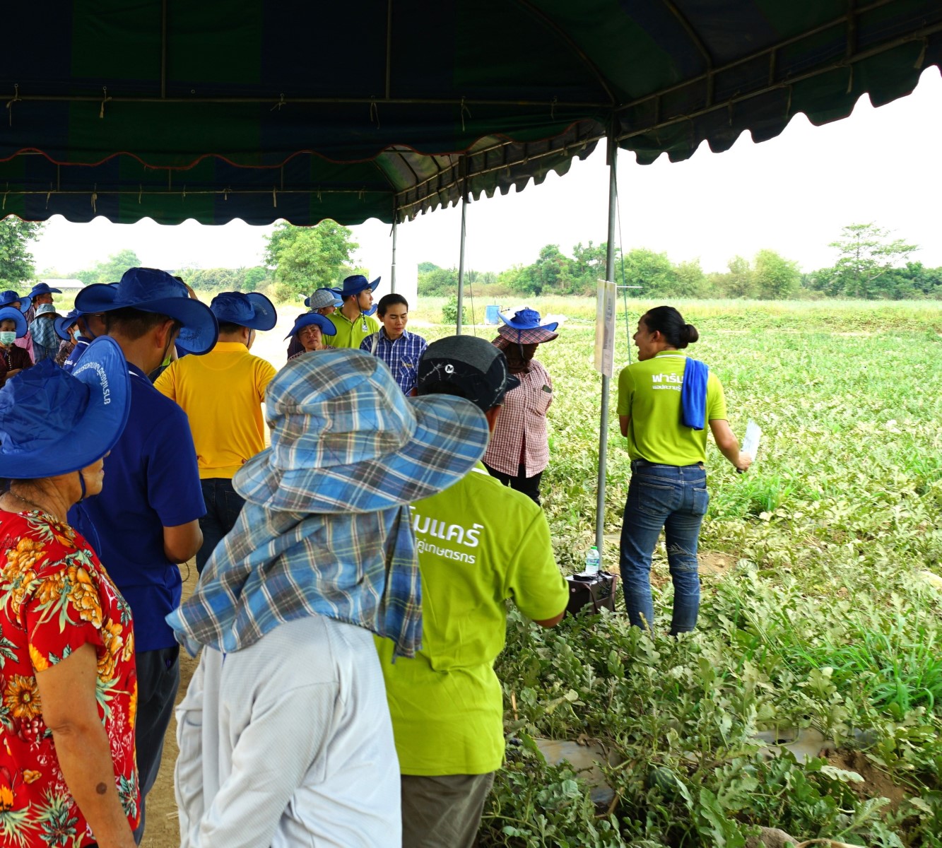 water melon field day