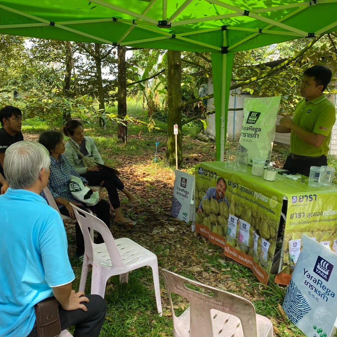 durian field day